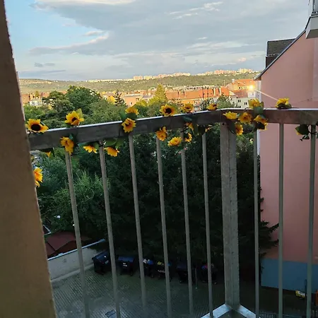 Star #5c515 Appartement *